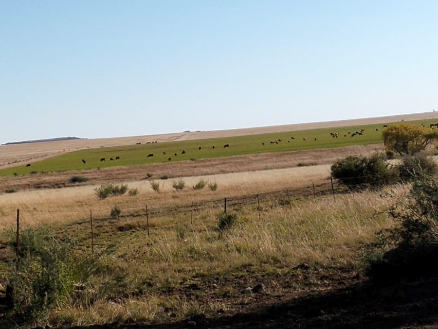 Commercial Property for Sale in Thaba Nchu Free State